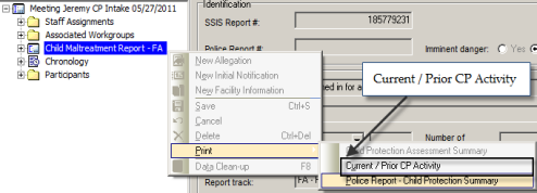 screen shot of Current / Prior CP Activity from Child Maltreatment Report