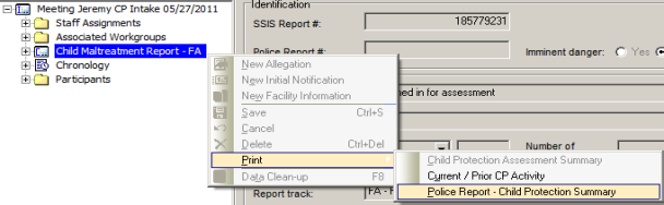 screen shot of Police Report – Child Protection Summary