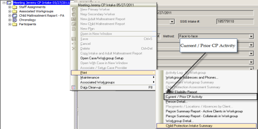 screen shot showing naviation sequence to Print Current / Prior CP Activity