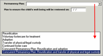 screen print of Document Tab –Permanency Plan Screen and Field