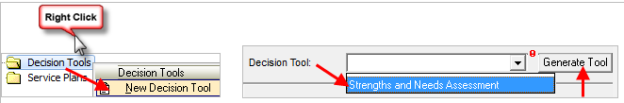 Tree View – Decision Tools – New Decision Tool – Strength and Needs Assessment