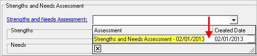 Setup Tab - Strengths and Needs Assessment 