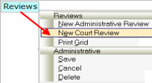 Screen shot: Reviews Tab – New Court Review 