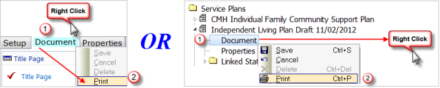 Document Tab + Print OR Document Node in Tree View + Print