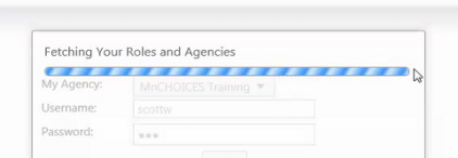 Screenshot of the "Fetching Your Roles and Agencies" with the infinite barber pole.