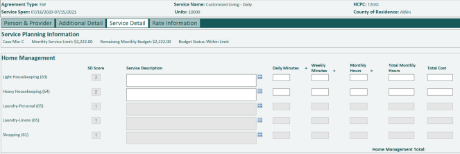screen shot of service detail tab in the RS tool