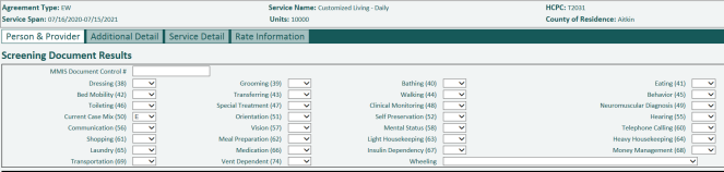 screen shot of person and provider tab in the RS tool