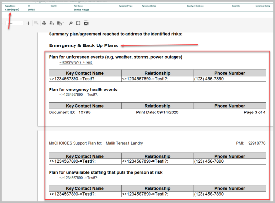 the CSSP preview and print summary showing the key contact name, relationship and phone number displaying in the emergency and back up plans