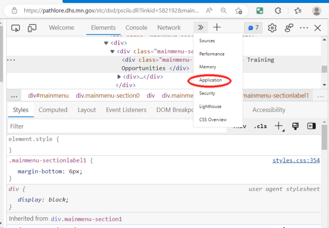 Screenshot of developer window with "Application" from the top menu bar highlighted.