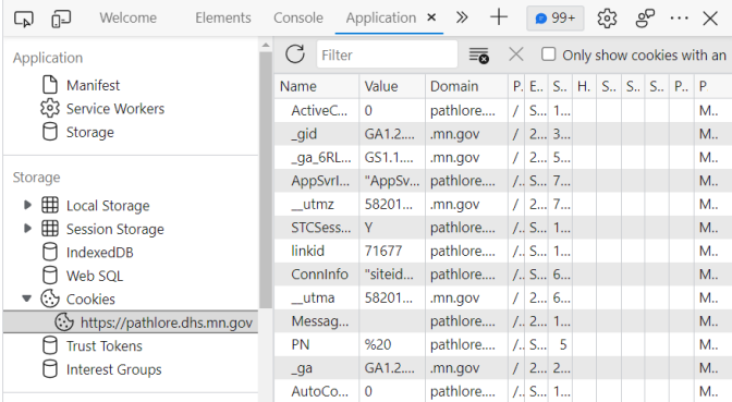 Screenshot of application window with pathlore.dhs.mn.gov cookies selected in the menu on the left side.