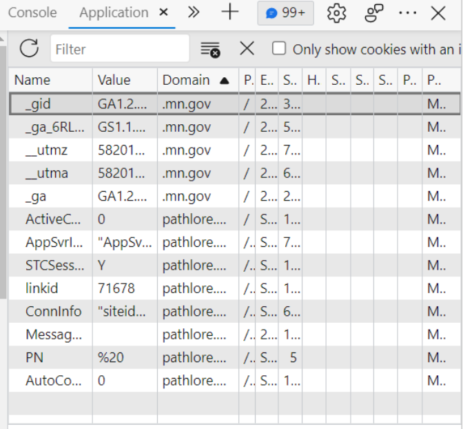 Screenshot showing the first cookie from the list with a ".mn.gov" domain is selected.