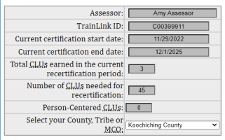 Screenshot of the menu in the CLU documentation module with the user name, current certificate dates and county filled out.