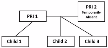 A graphic showing the CCAP determination of a 2-parent married blended family, with one temporarily absent PRI