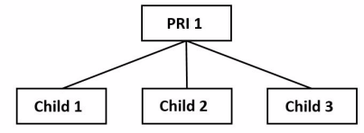 A graphic showing the CCAP determination of a PRI disqualfied due to MFIP fraud