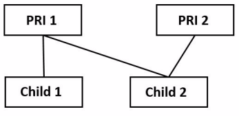 2-parent unmarried blended family