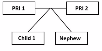 Eligible relative caregiver or legal guardian family