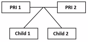 Household composition: 2-parent married families